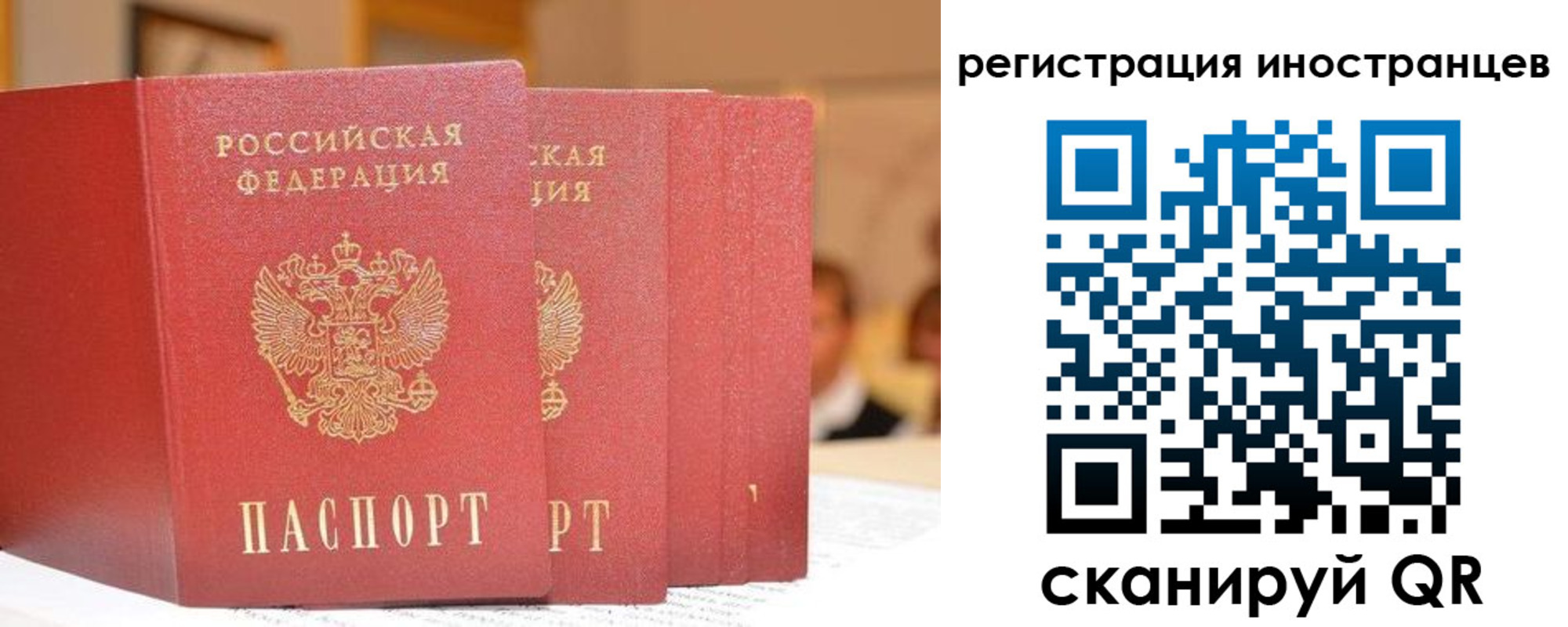 где прописаться в Белой Калитве